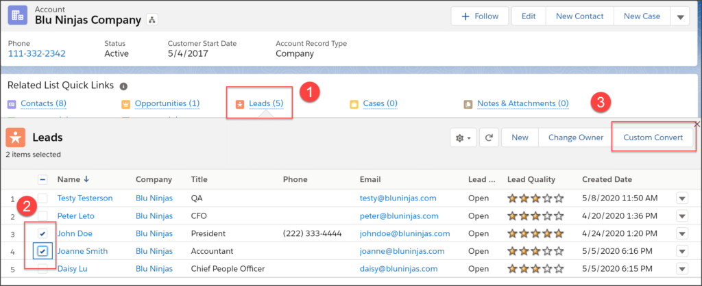 Leads Will Now Appear On the Contacts related List on the Account